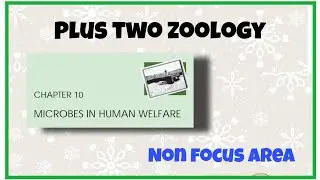 +2 Zoology | Microbes in human welfare | Non focus area