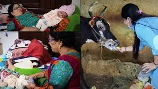 Betu ka Masti....Nani Ke Saath | #Vlog -04 |