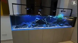 Unbelievable Aquarium Setup: Betta Fish, Goldfish, Tropical and Koi Fish Care Tips #1002