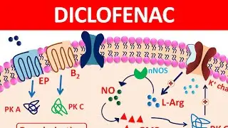 Diclofenac Tablets & gel | New mechanism, precautions & side effects