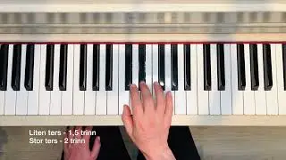 Lær å forstå Intervaller 🎹 Musikkteori fra Pianokurs for nybegynnere