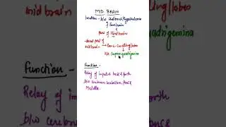 Midbrain #shorts #midbrain #neuralcontrolandcoordination