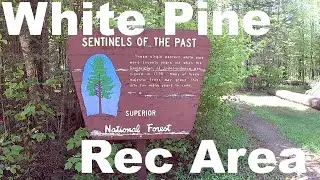 White Pine Recreation Area Superior National Forest