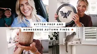 WHAT'S NEW IN HOMESENSE AUTUMN 2022, A HAUL AND PREPARING FOR OUR SECOND BRITISH SHORTHAIR CAT