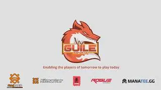 Guile eSports Paladins PS4 team montage.