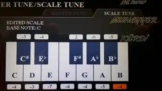 Orgda Muhayyer Kürdi Makamı scale değerleri nasıl olmalı?