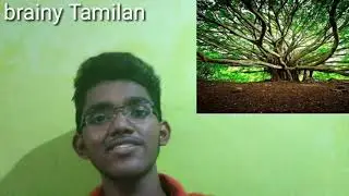 Rare natural phenomenon in India | Tamil | brainy Tamilan .
