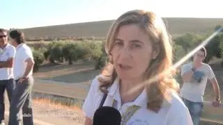 Visita María Santísima de Alharilla al pueblo de Arjona 13/07/2014 Parte 2