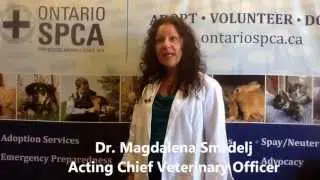 Recognizing the Signs of Heat Stroke