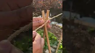 So strong, reliable, simple - The Strongest Way to Tie a Vegetable Trellis!