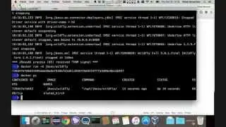 Developer Interview (#DI18) - Rafael Benevides about Docker for Java EE Developers