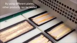Cpack Ltd - SS3000 Sandwich Sealing Machine
