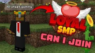 Can I Join Loyal Smp? || Application Video For Loyal SMP @BulkyStar @mr.chest_15