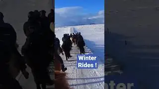 Which Is Better Summer or Winter Riding ?    🇮🇸  🐴 #iceland #horses