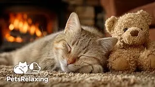 Relaxing Music for Cats 🐱 Fireplace Sounds, Peaceful & Soothing Music with Gentle Purring