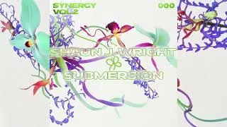Shaun J. Wright - Submersion