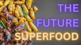 The Surprising Truth About Eating Bugs┃Future Superfood