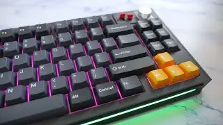 Das h&auml;tte die beste Gaming Tastatur 2025 sein k&ouml;nnen | Nuphy WH80 HE Gaming Tastatur Review