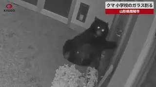 【速報】クマ、小学校のガラス割る   山形県南陽市