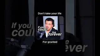 The reason life matters