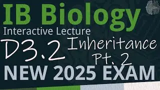 IB Biology D3.2 - Inheritance PART 2 [SL/HL] - Interactive Lecture 2025-2033