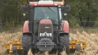 🔥TALERZOWANIE PO KUKURYDZY 🔥 case puma 145 & staltech UH40. [LukmenTV]