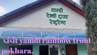 ###Visit Yamdi Rainbow Trout And Mardi Trout Farm***Pokhara....