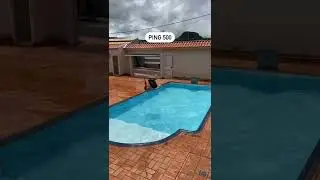 ping ruim #ping #ruim #freefire #gta #fortinite #memes #videocurto #compilado #comedy #humor