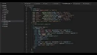 How to write code and how Registration Form works
