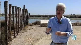 La Bahía de Cádiz estrena nueva senda que une San Fernando y Chiclana sobre esteros y marismas