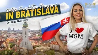 MSM Foundation Programs in Bratislava: Detailed Overview