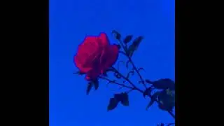 it is not the melody x PWAD | edit