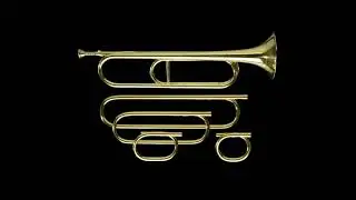 Tangled&rsquo;s &ldquo;I&rsquo;ve Got a Dream&rdquo; Song Parody￼: The History of the Bb Trumpet