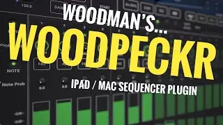 Woodpeckr / Woodpecker by Woodman&rsquo;s / Wims Studio // Powerful Midi Sequencer App / Plugin 