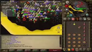OSRS Envy pures Defeat AAO mains
