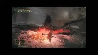 what the fuck was that (Elden Ring)