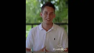 Marina Flamingo: The Community | Discover YOUR Ocean