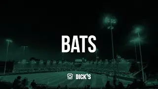 The Basics: Selecting a Bat for your Little Leaguer