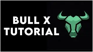BullX | Учебное пособие по Pump Vision