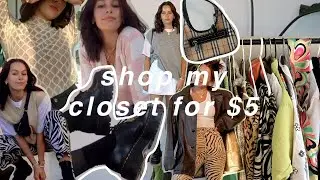 EXTREME CLOSET CLEAN OUT | buy all my clothes for $5
