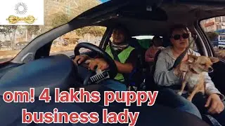 Omg! four lakhs puppy seller business Norway woman