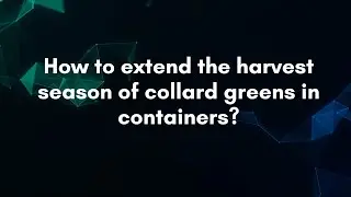 Как продлить сезон сбора урожая листовой капусты в контейнерах?
