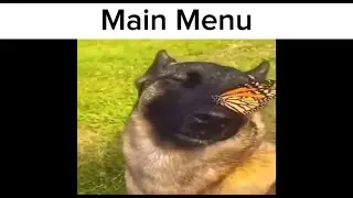 Ant Colony Wild Forest OST be like: