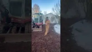 Привет, дружище! Давай приступим к работе! #бассейн #приступаемкработе #шорты