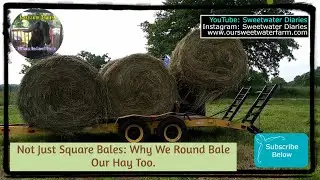 Not Just Square Bales: Why We Round Bale Our Hay Too.