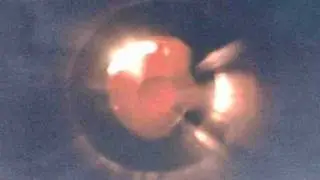 James Webb Telescope Discovered Evidence Of Fallen Angels