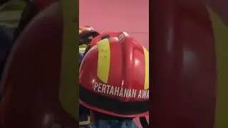 Самые большие змеи в мире. анаконда питон