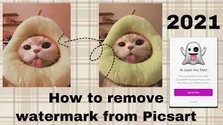How To Remove Watermark From Picsart 2021 ✨