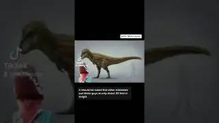 Тираннозавр БЕЛЫЙ МЕДВЕДЬ??