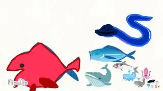 Sea monster size comparison 